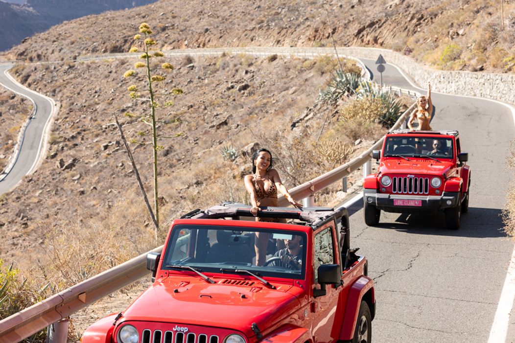 Veľkolepé príchody srdiečok na vilu