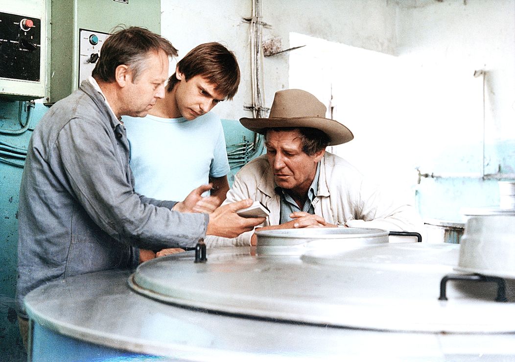 Slunce, seno, jahody