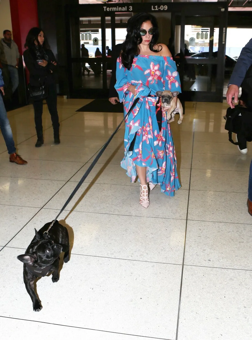 Lady Gaga a jej miláčikovia