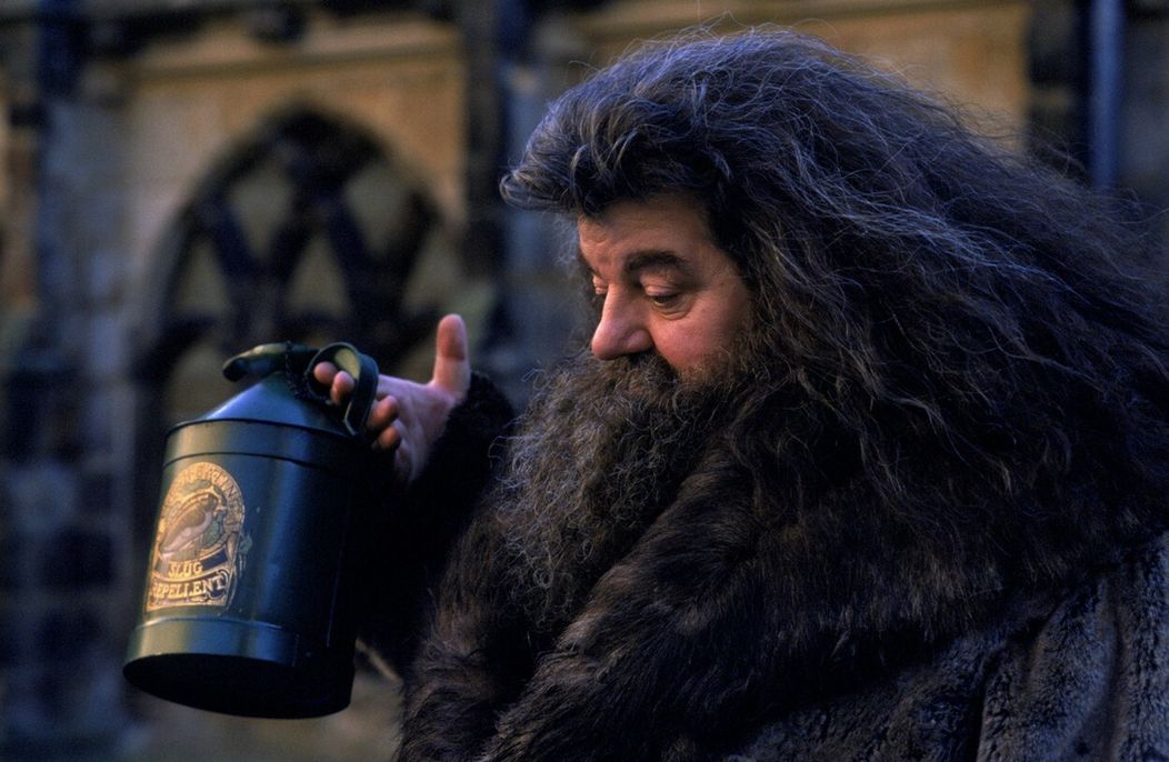 Robbie Coltrane ako Hagrid v Harrym Potterovi.