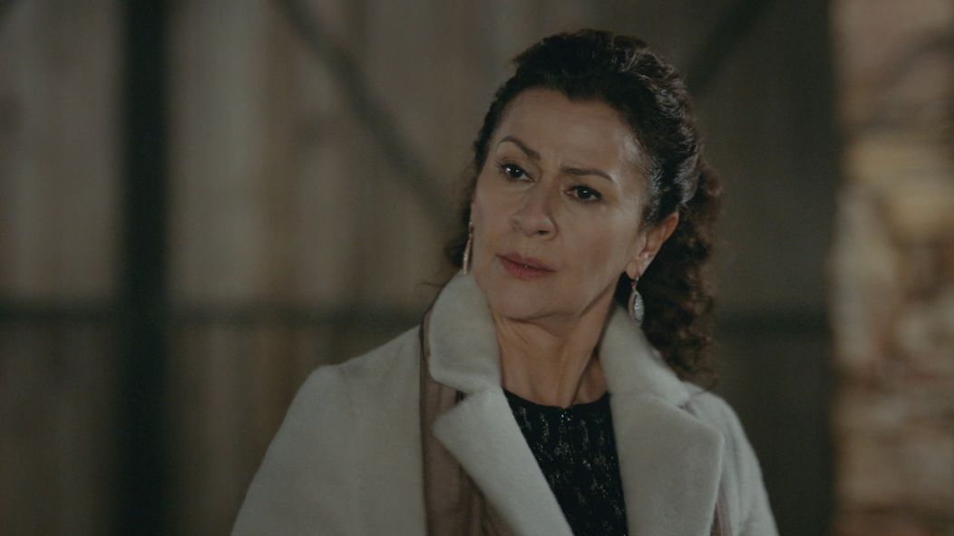 Veľvyslancova dcéra