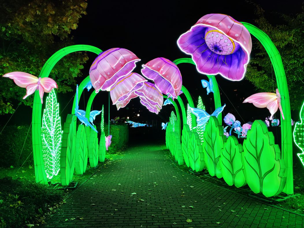 Rozkvitnutá záhrada