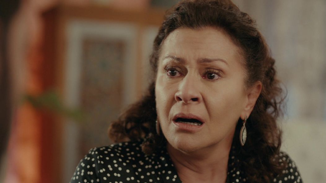 Veľvyslancova dcéra