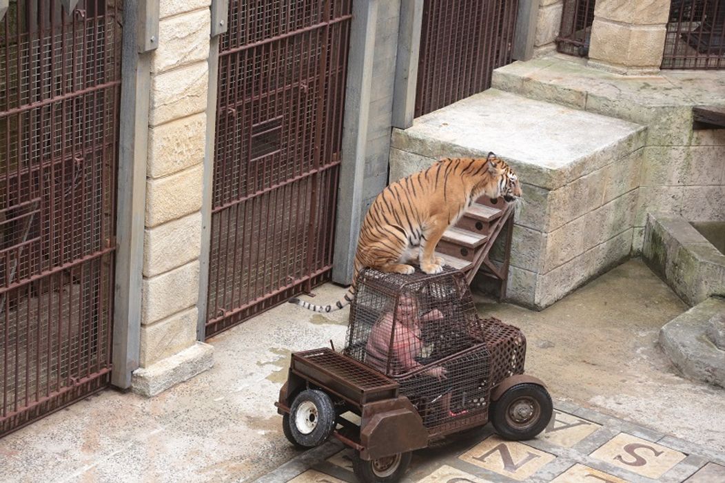 Pomóc, čo mám teraz robiť?