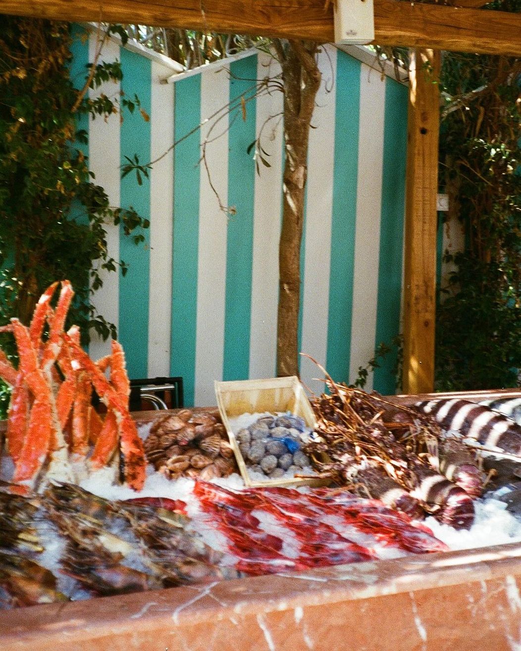 Jesicca Alba s rodinou oddychovala na Mykonose a zverejnila niekoľko snímok v bikinách.