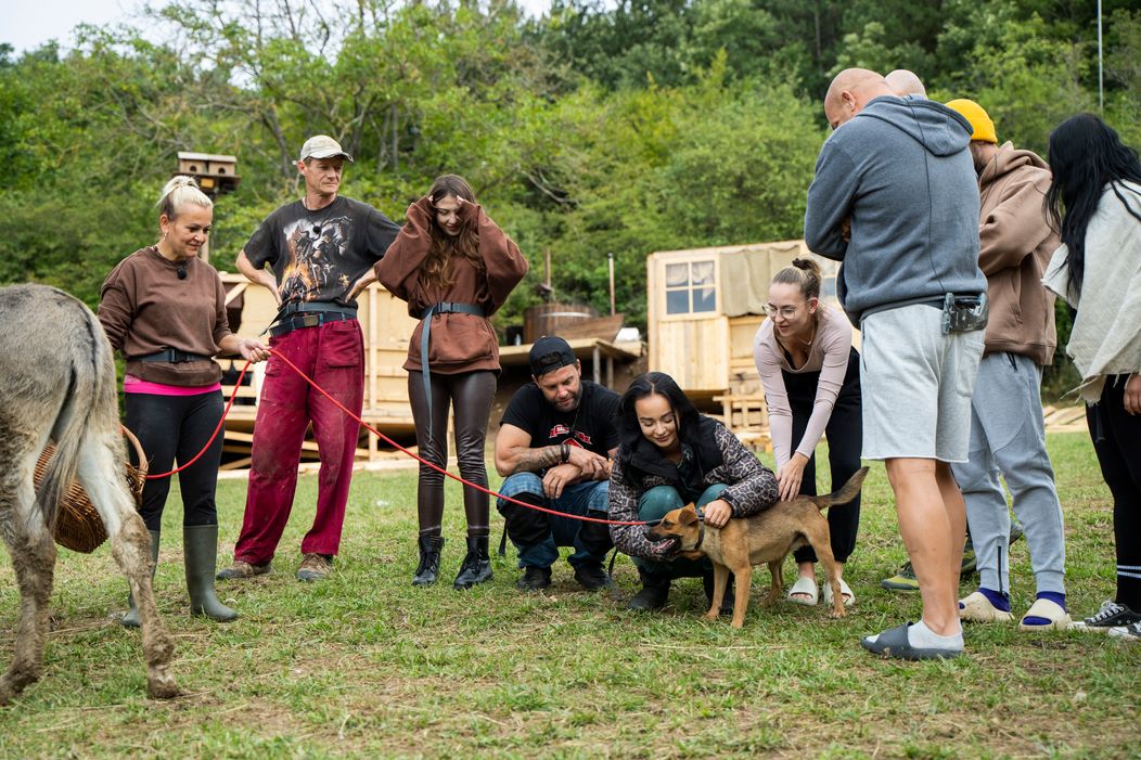 Na Farme sa objavil nový miláčik, najstaršia generácia vymenila nákup za peniaze