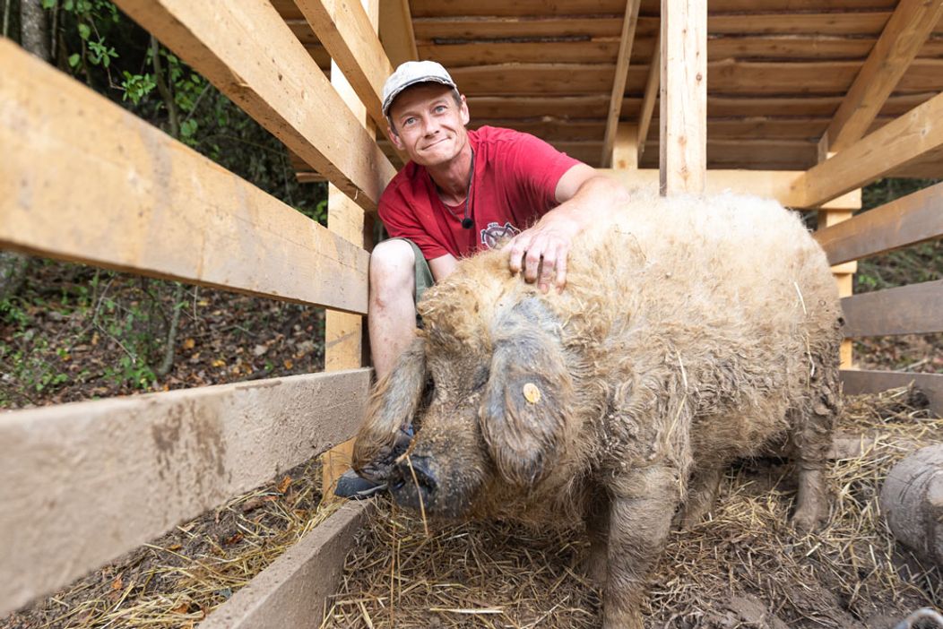 Zábery z 18. a 19. dňa na Farme