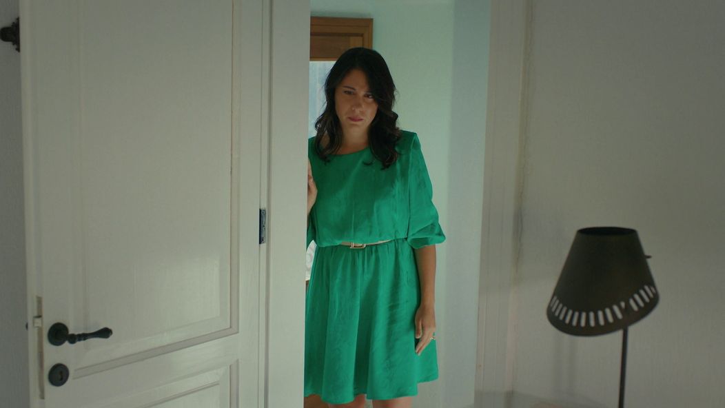 Veľvyslancova dcéra