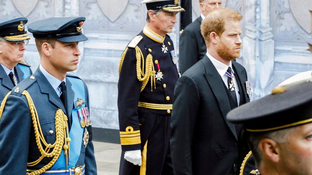 Princovia William a Harry