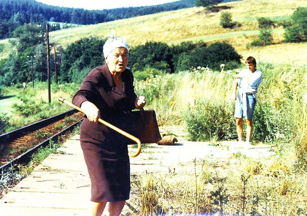 Slunce, seno, jahody