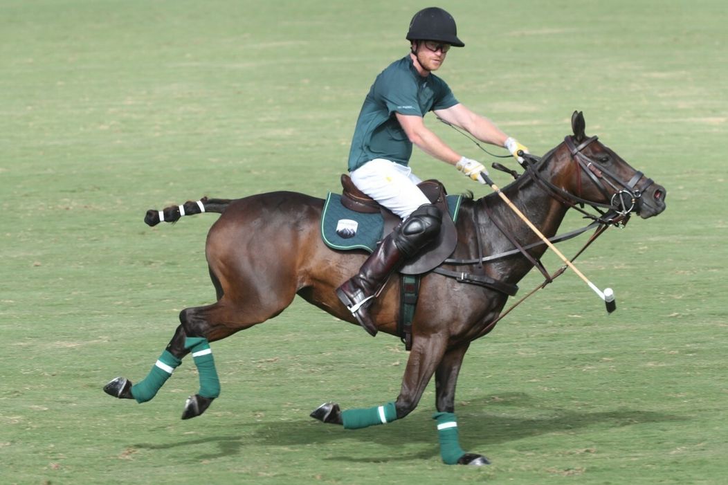 Princ Harry na póle