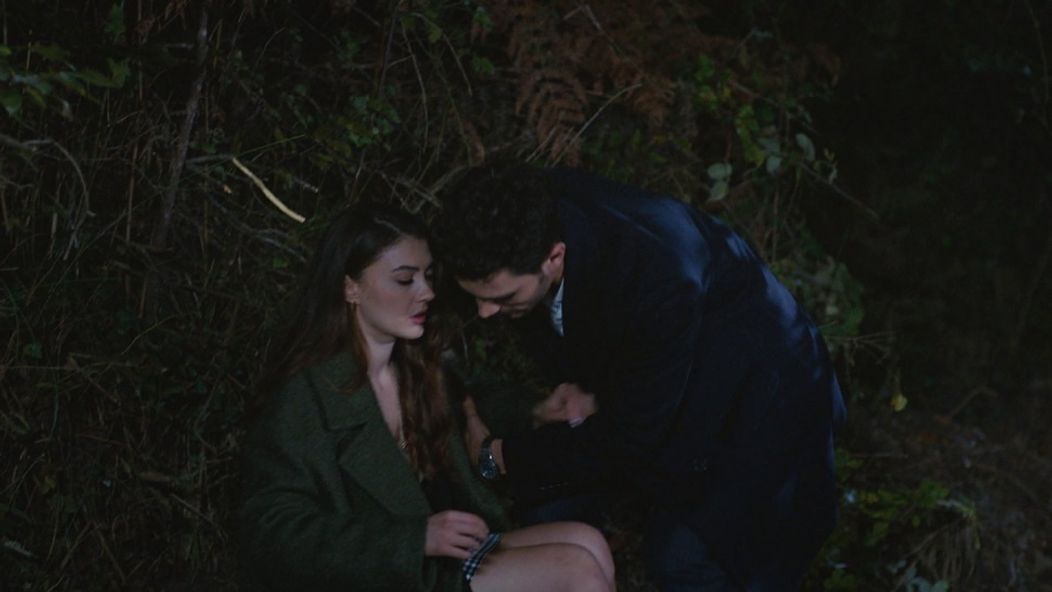 Láska, rozum, pomsta