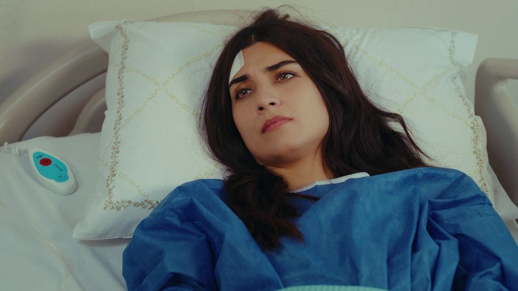 Veľvyslancova dcéra