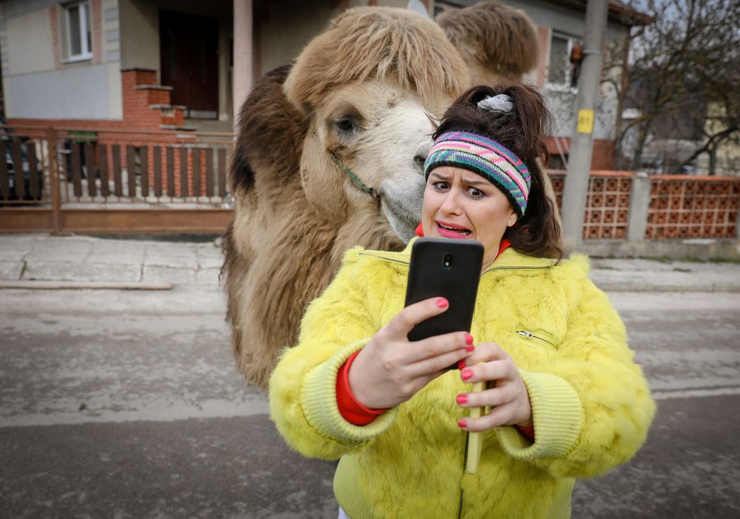 Ťaviak Ali v Hornej Dolnej