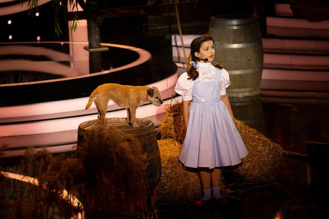 Izabela Gavorníková - Somewhere Over The Rainbow (Judy Garland)