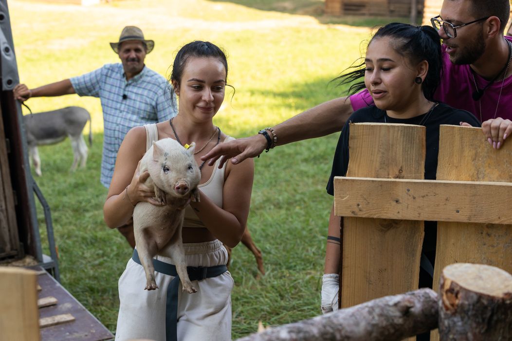 Na statok prišli nový obyvatelia, Roman zacítil rezne ...