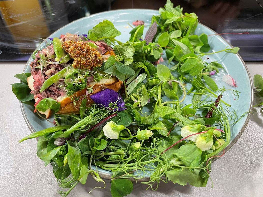 PlackovaCestuje_kompl.mp4