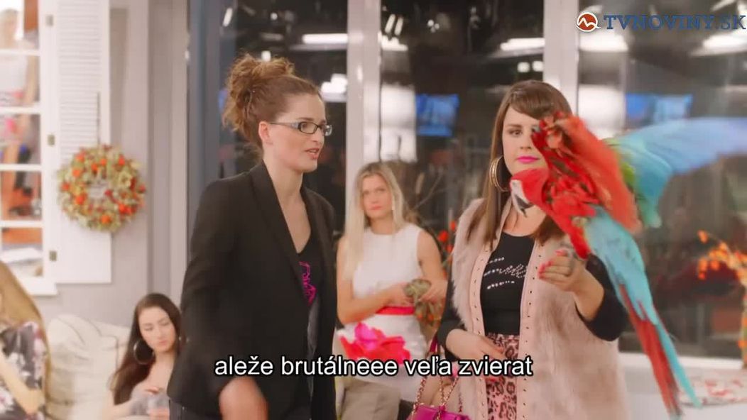 CUKYLUKY_tvnoviny.mp4