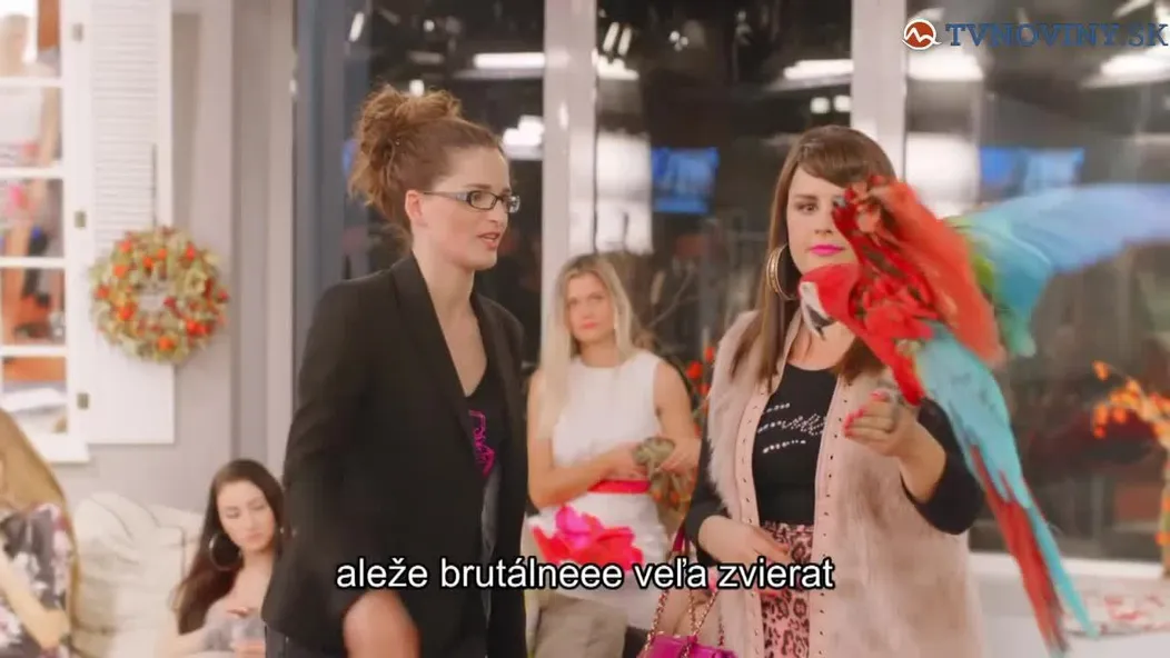 CUKYLUKY_tvnoviny.mp4