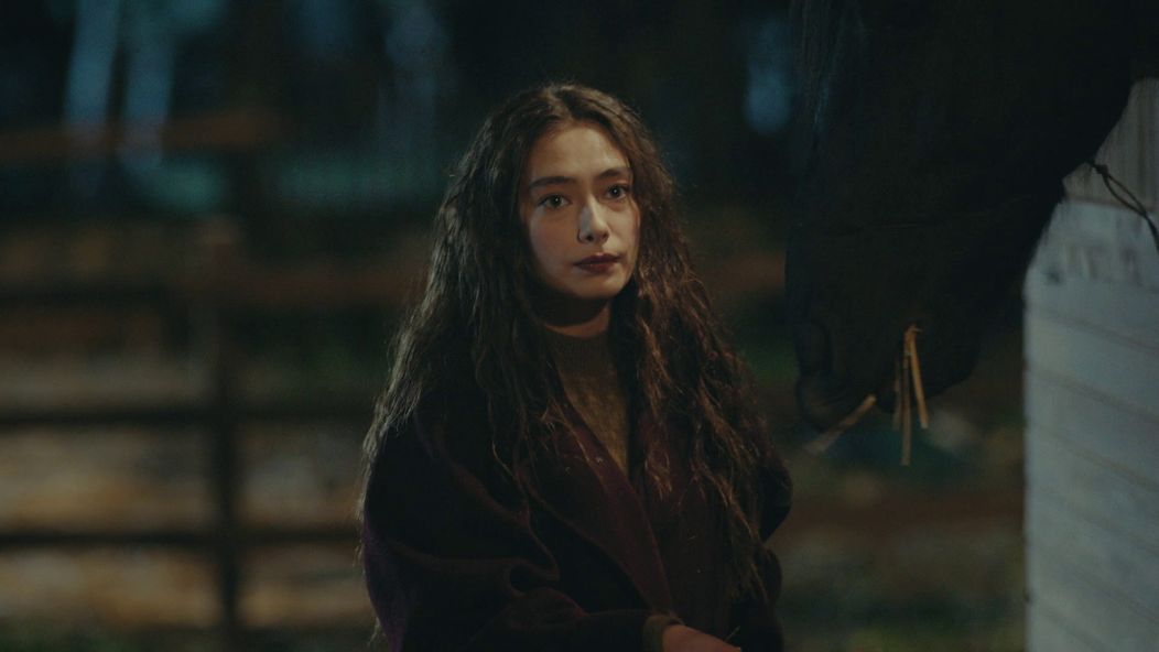 Veľvyslancova dcéra