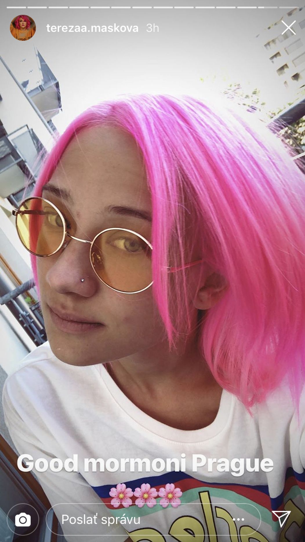 Tereza Mašková po nafarbení