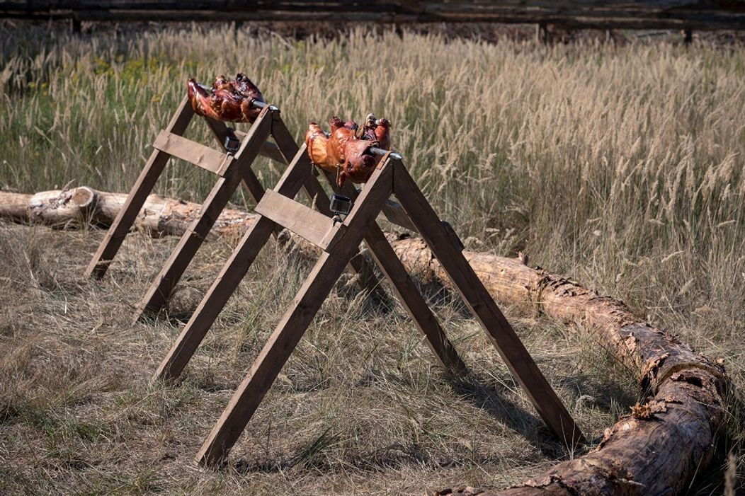 O všetkom rozhodnú dve pečené prasiatka