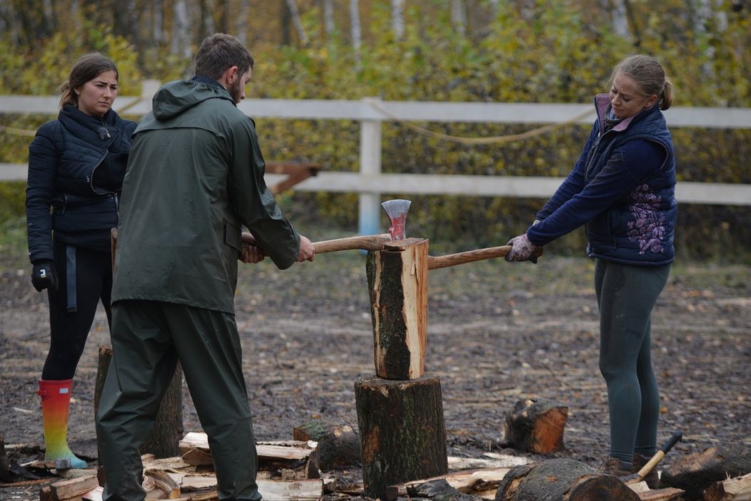 Veľké rúbanie na Farme