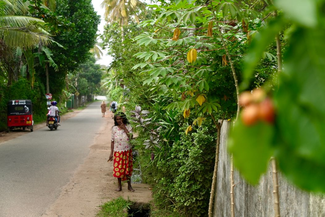 Pokračovanie Ruže pre nevestu na exotickej Srí Lanke
