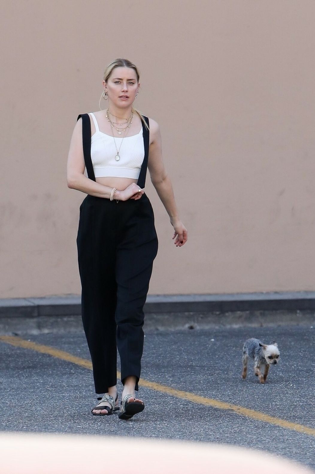 Amber je milovníčka psov.