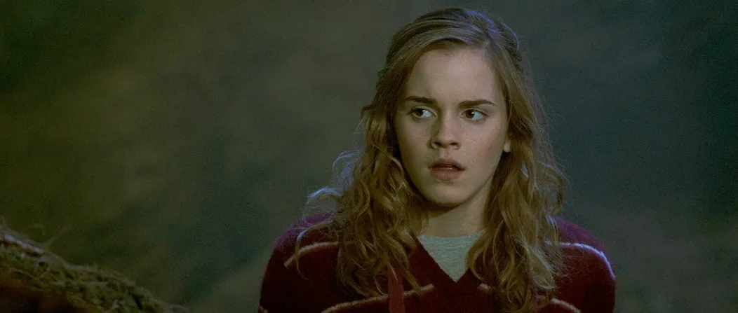 Harry Potter a Fénixov rád