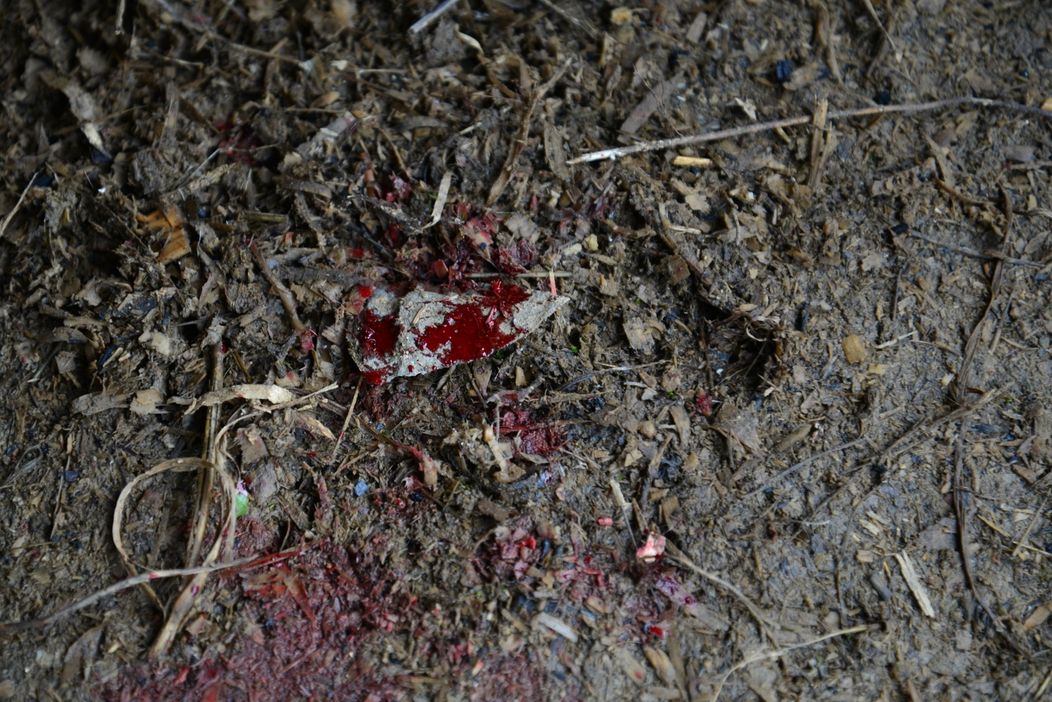 Šimon si škaredo porezal ruku