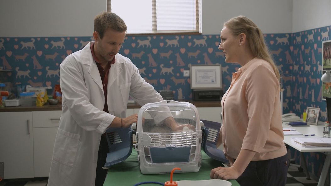 Tomáš to zo zvieratami vie, Rómeo si pri ňom spokojne priadol.