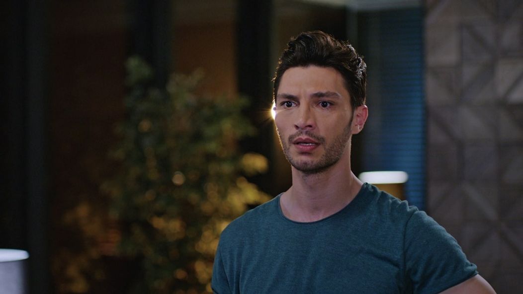 Láska, rozum, pomsta