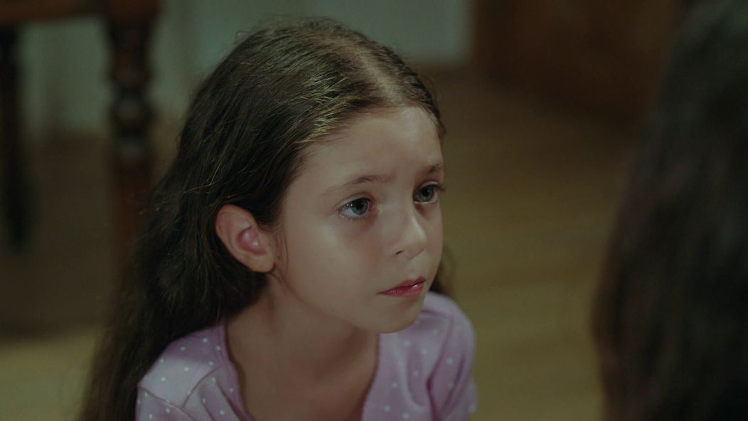 Veľvyslancova dcéra