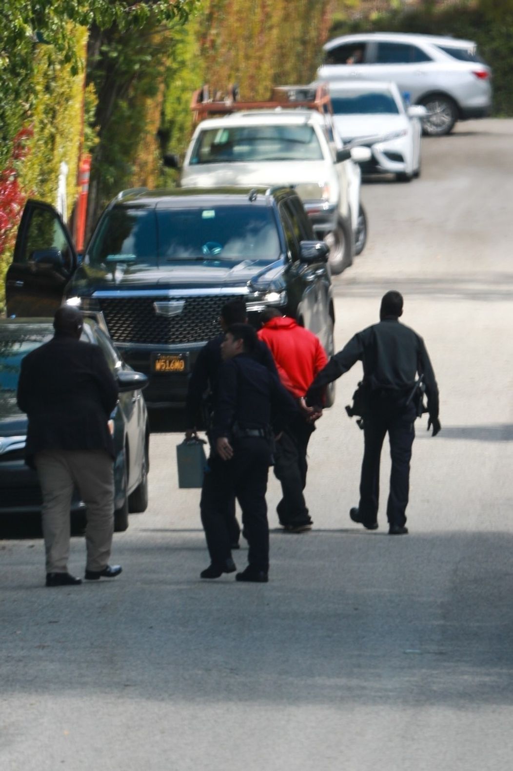 V dome Rihanny zasahovala polícia