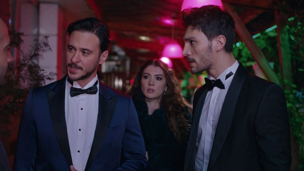 Láska, rozum, pomsta