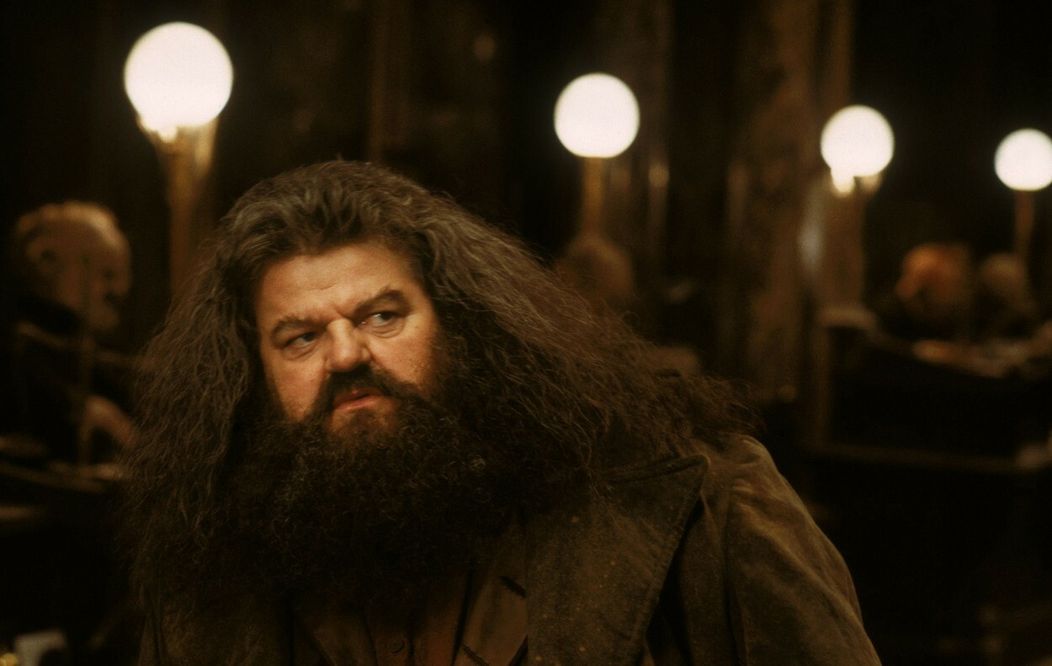 Robbie Coltrane ako Hagrid v Harrym Potterovi.
