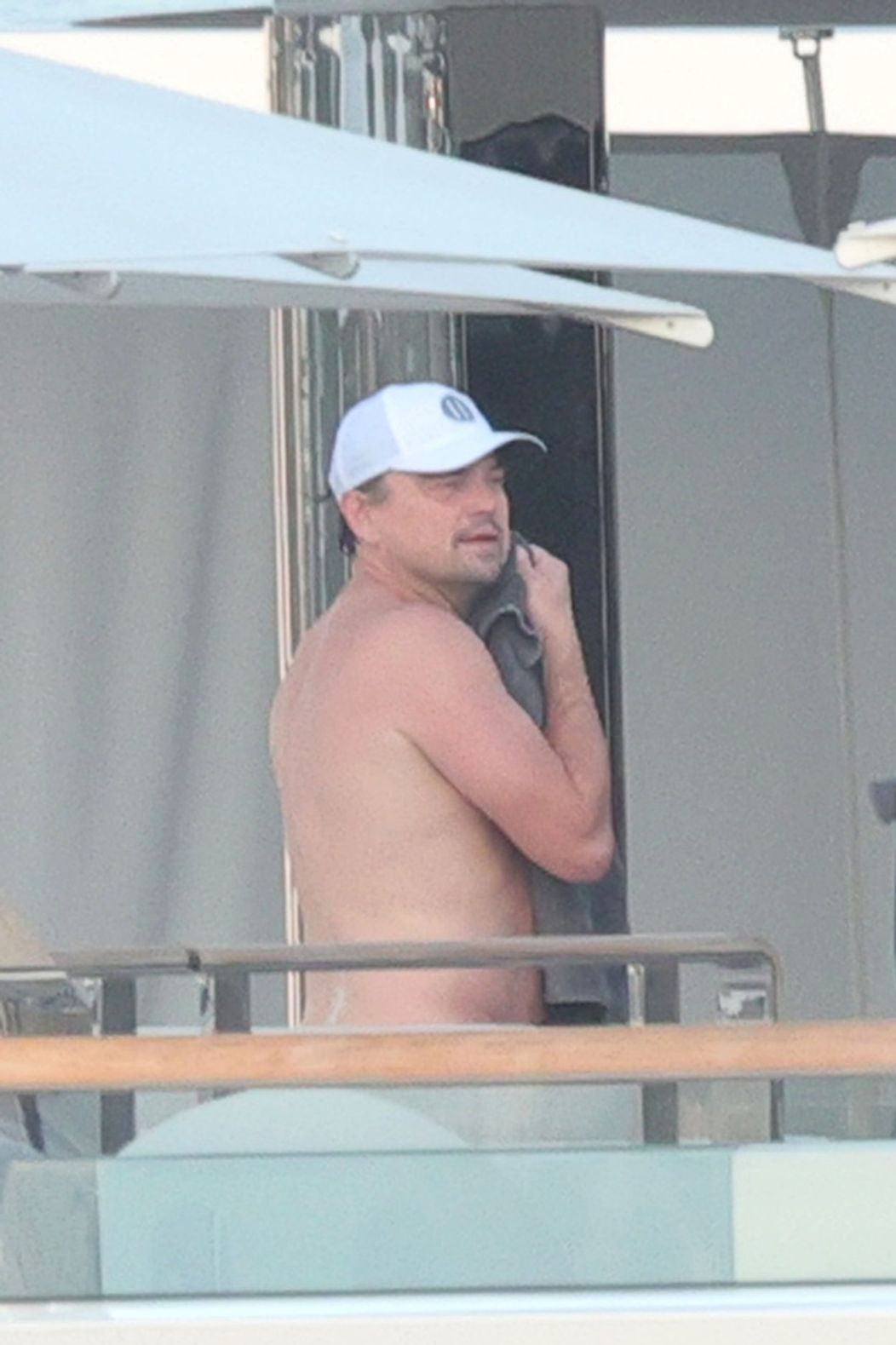 Leonardo DiCaprio a Neelam Gill