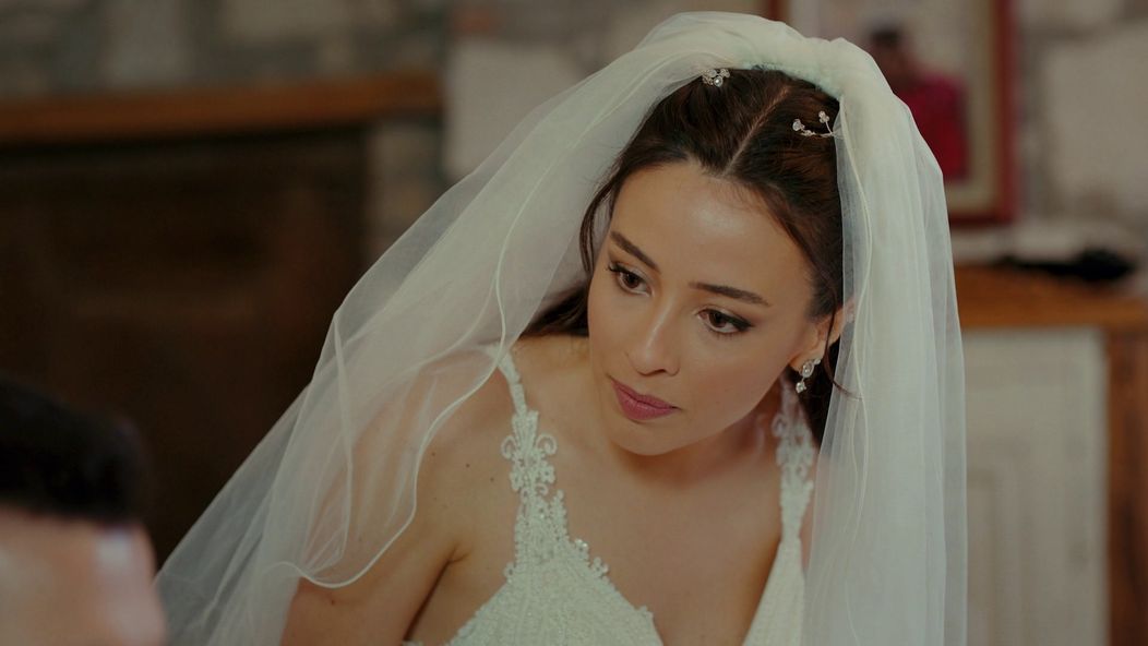 Veľvyslancova dcéra