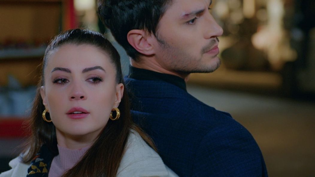 Láska, rozum, pomsta