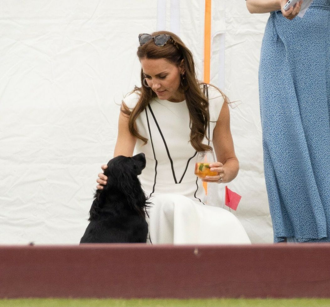 Vojvoda a vojvodkyňa z Cambridge