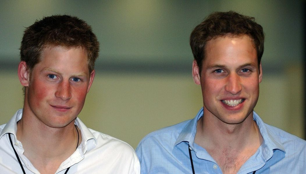 Princezná Diana a princovia Harry a William, rok 1995