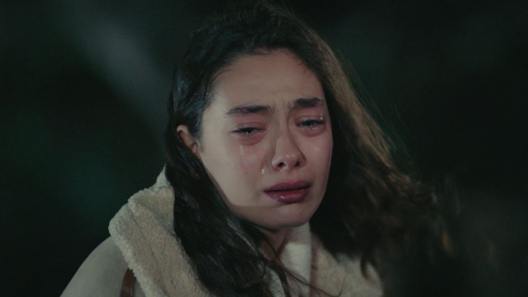 Veľvyslancova dcéra