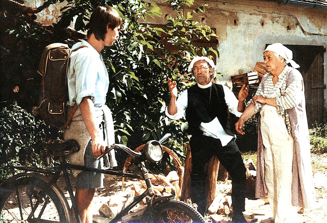 Slunce, seno, jahody