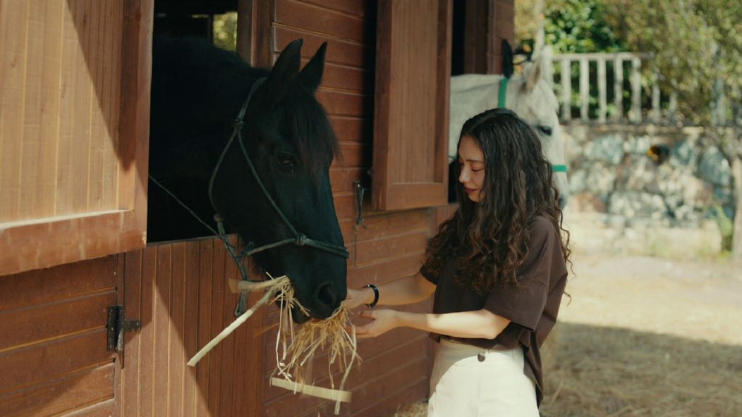 Veľvyslancova dcéra