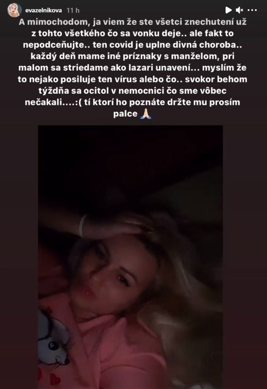 Na snímke kapitán Peter Čerešňák v zápase Slovensko - Švajčiarsko na Nemeckom pohári 2019 v Krefelde.