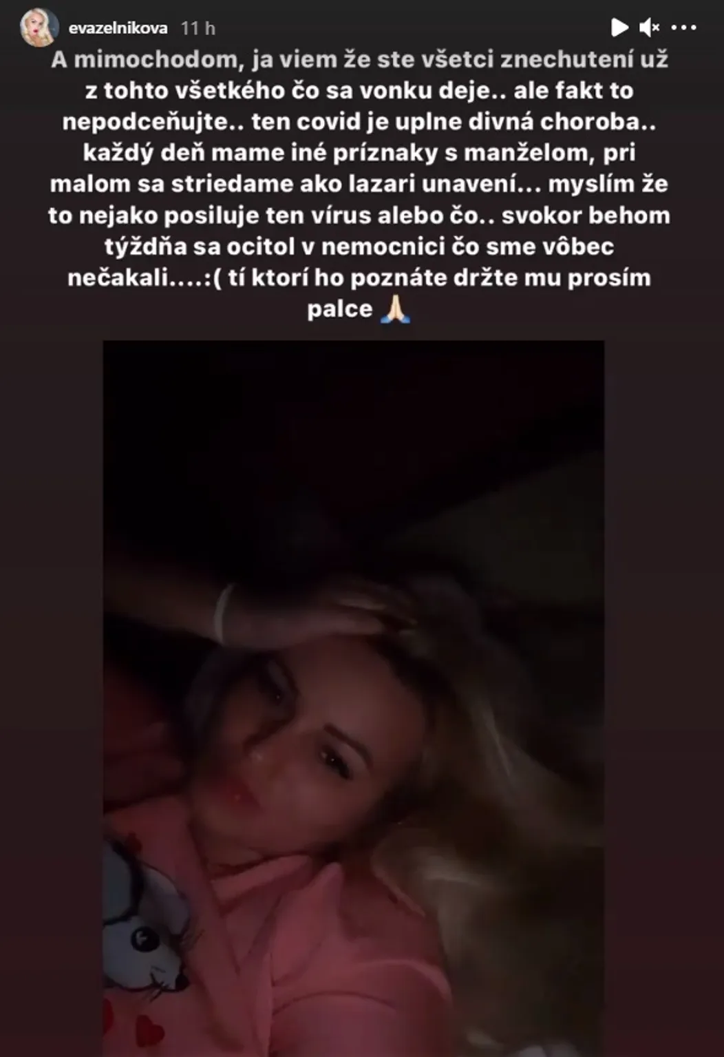 Na snímke kapitán Peter Čerešňák v zápase Slovensko - Švajčiarsko na Nemeckom pohári 2019 v Krefelde.