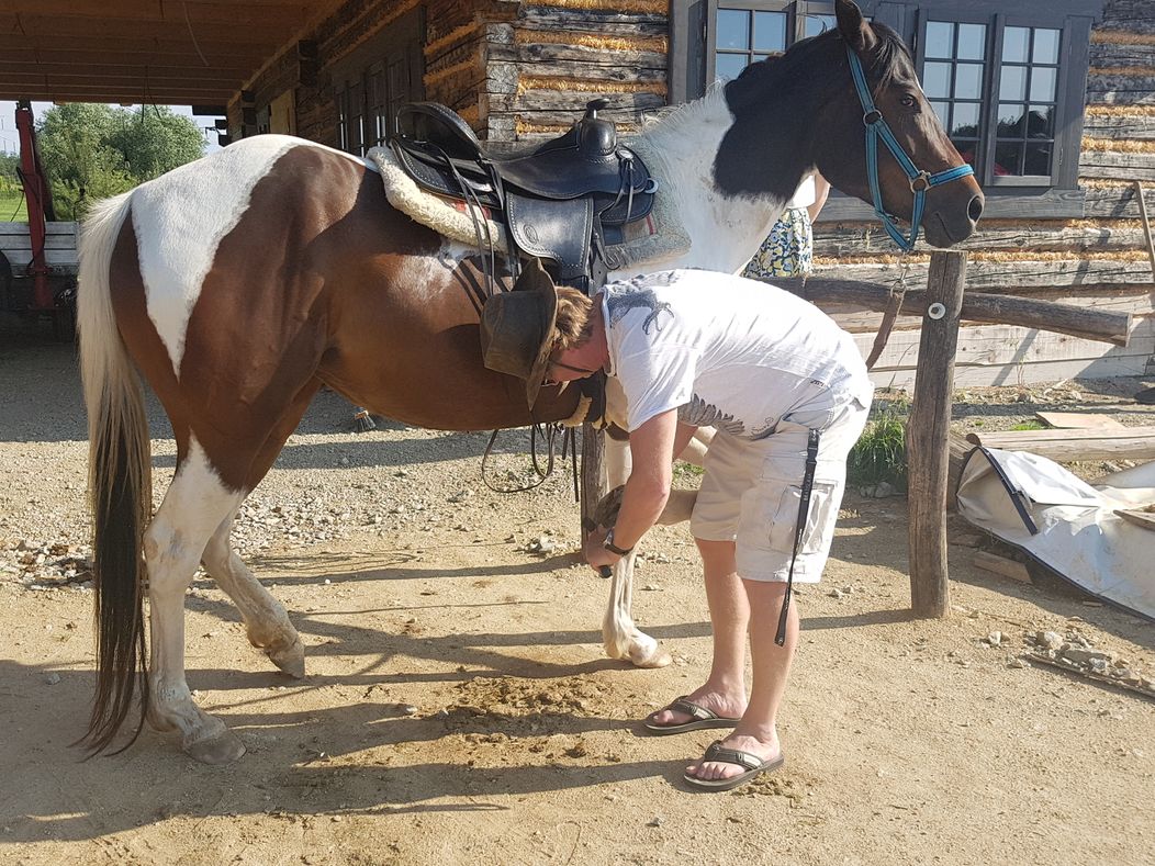 Kramárovci na koňoch