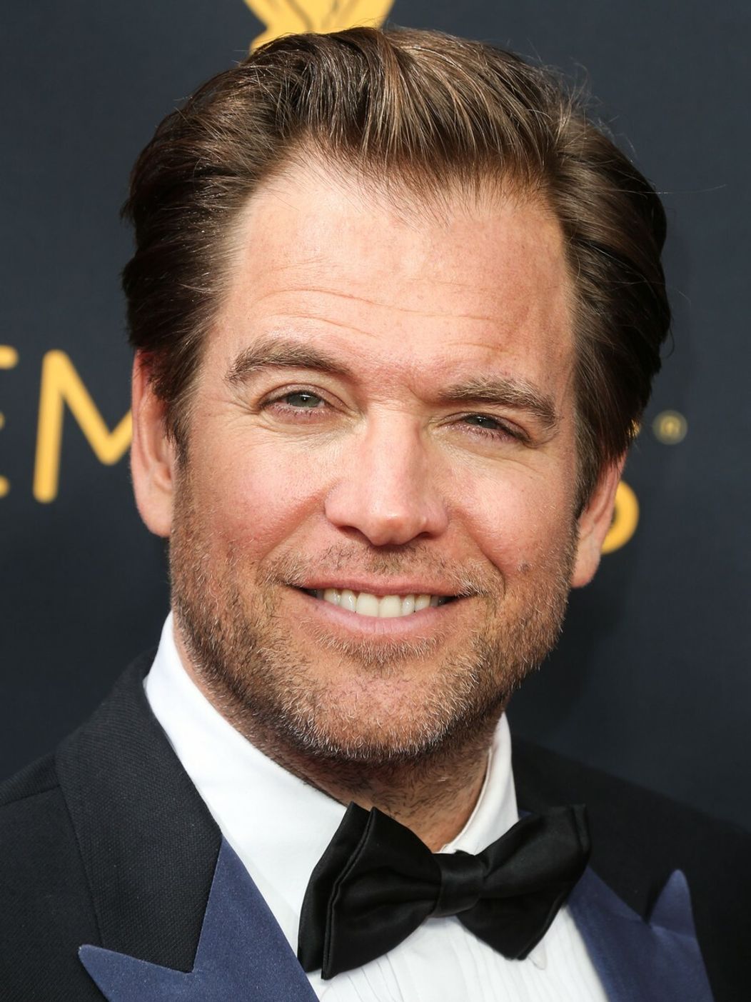 Michael Weatherly