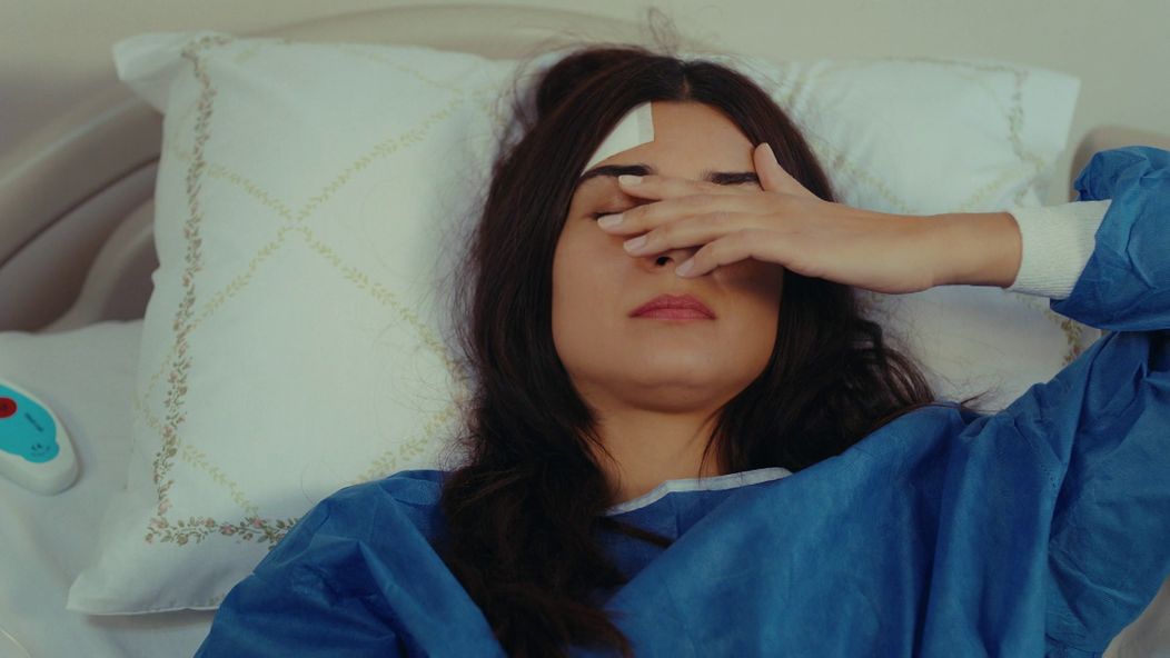 Veľvyslancova dcéra